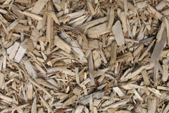 biomass boilers Draffan